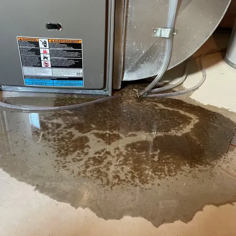 Appliance Leak Cleanup in Caldwell County, MO